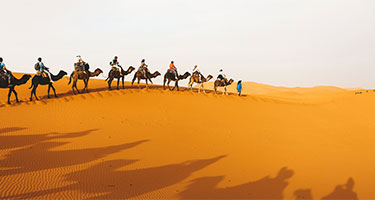 Marrakesh tickets, tours, and activities