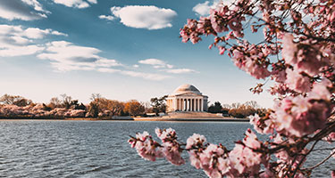Washington, D.C. tickets, tours, and activities