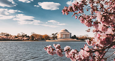 Washington, D.C. | Tickets, Touren und Aktivitäten Preisvergleich