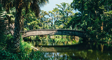 Biglietti, tour e attività a New Orleans