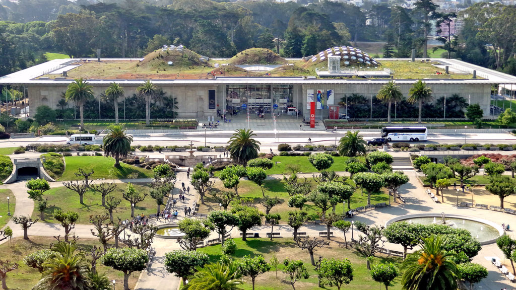 Get Scientific at the California Academy of Sciences