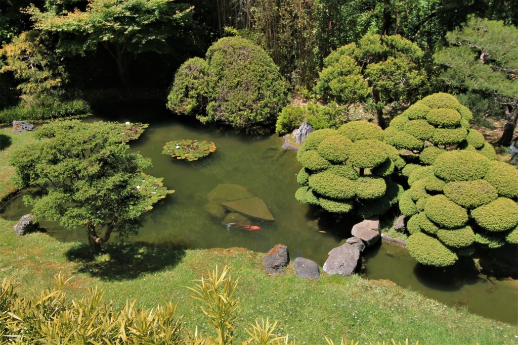 Find Peace in the Japanese Tea Garden