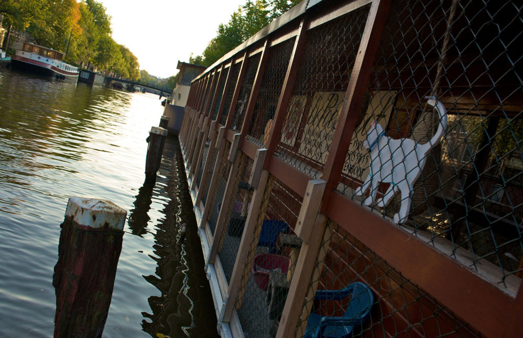 Animal Sanctuary on the Poezenboot