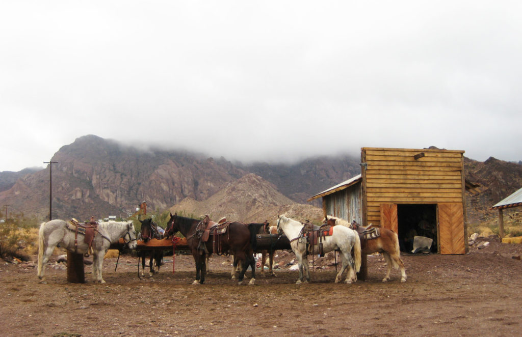 Ride horses and be a rancher for a day.