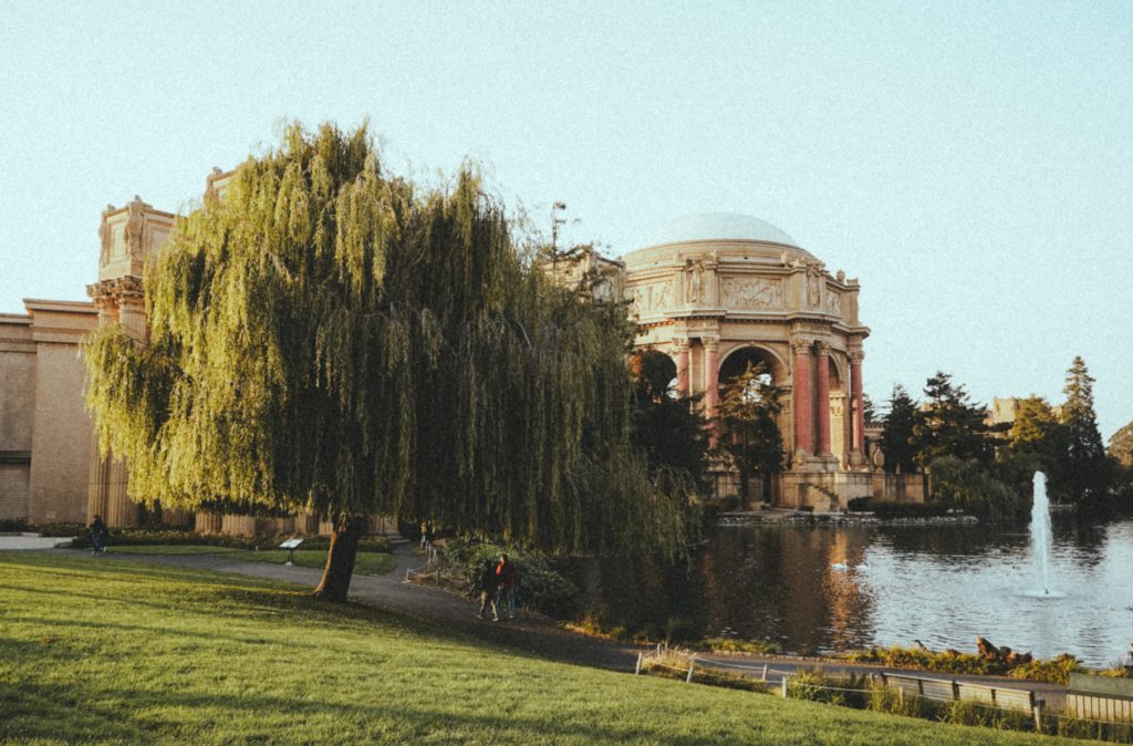 Enjoy the Palace of Fine Arts