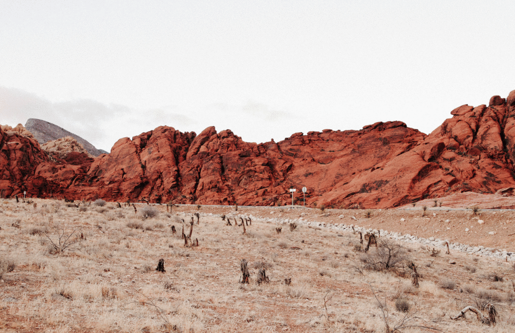 Hike in Red Rock Canyon.