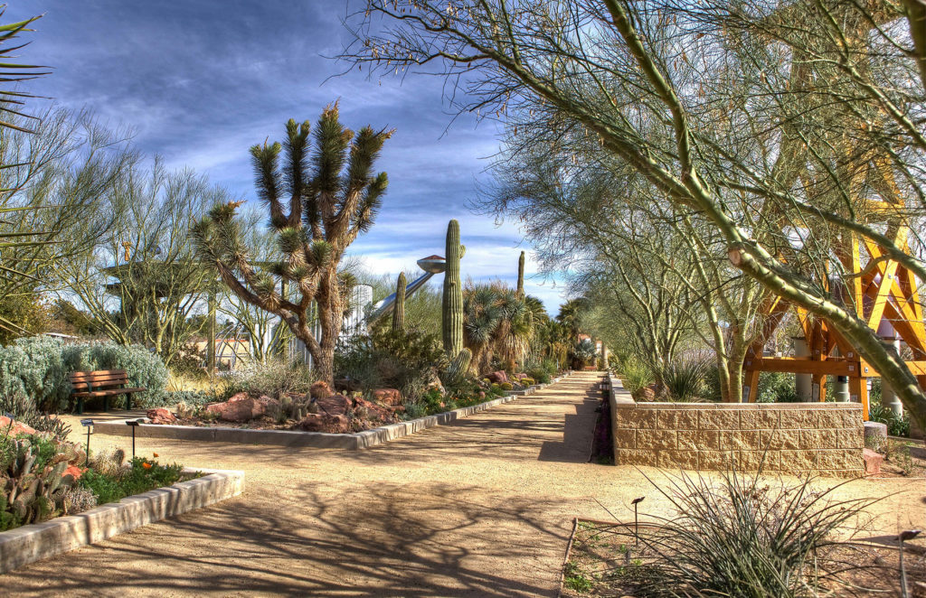 Visit the Springs Preserve Botanical Garden.