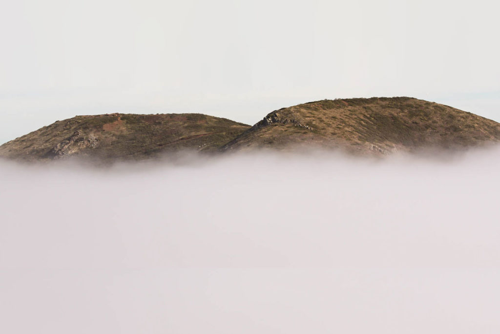 Try Urban Hiking at the Twin Peaks