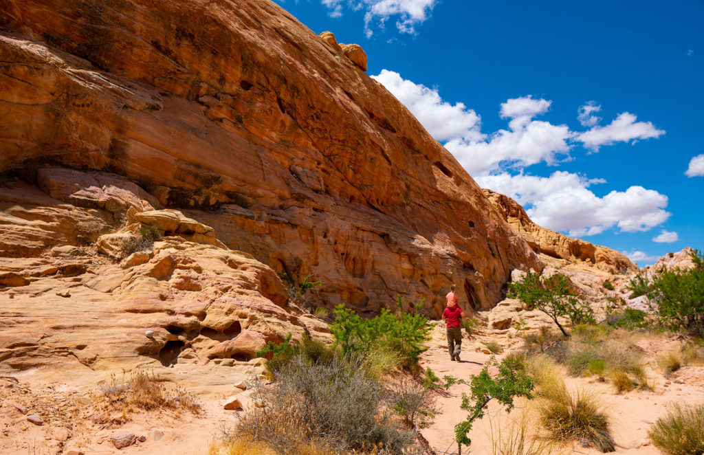 See red in the Valley of Fire.